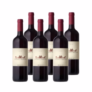 Merlot 2023 DOC Piave - Box da 6 Bottiglie