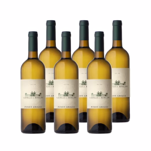 Pinot Grigio 2024 DOC Venezia - Box da 6 Bottiglie